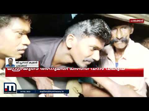 മലമ്പുഴ ചെറാട് മലയിൽ അനാവശ്യ യാത്രകൾ അനുവദിക്കില്ലെന്ന് വനം-റവന്യൂ മന്ത്രിമാർ| Mathrubhumi News