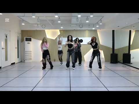 Girls Night Loossemble Dance Practice Mirrored 