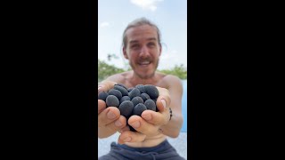 The Most Amazing Fruit