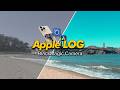 Blackmagic Camera and Apple Log Beginner's Tutorial