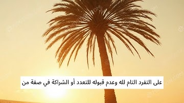 سورة الإخلاص جوهر التوحيد