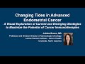 Maximizing the of Potential Current and Emerging Immunotherapies in Advanced Endometrial Cancer
