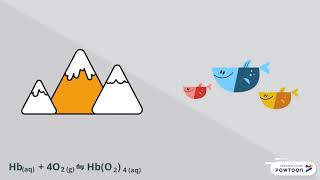 Hemoglobin Equilibrium screenshot 5