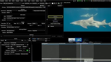 03 Lesson Baselight for Beginners - Conform (part 1) eng