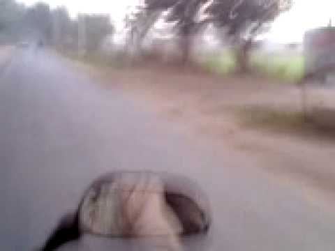 bike ride on the dayal bagh road near DEI 27-12-08...