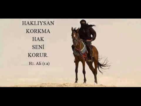 Nihat Hatipoğlu FON 11 Hz Ali Fon (Hamza Şahin\u0026HaYaLeT)