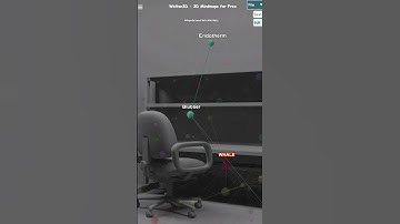 Whale watching this summer? Get the Big Picture! #3dmindmap#shorts#bigpicture