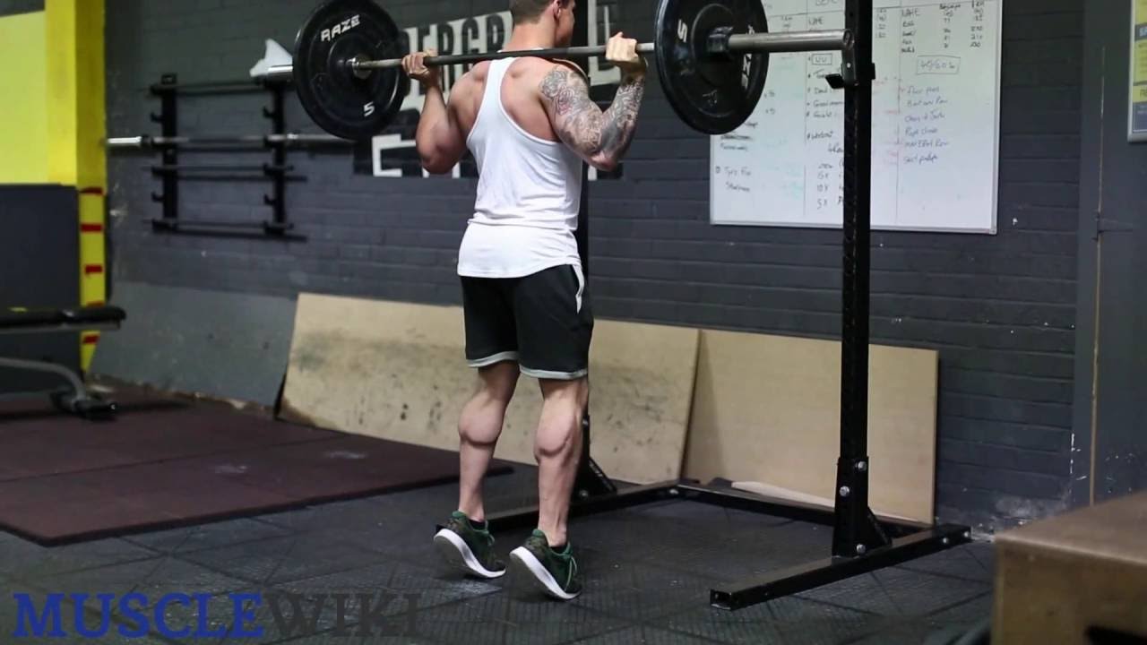 male standing barbell calf raise front YouTube