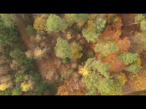 Herfst in Nederland 2021