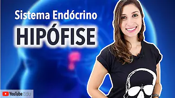 Qual é a função da hipófise?