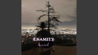 Video thumbnail of "Enamity - Acid"