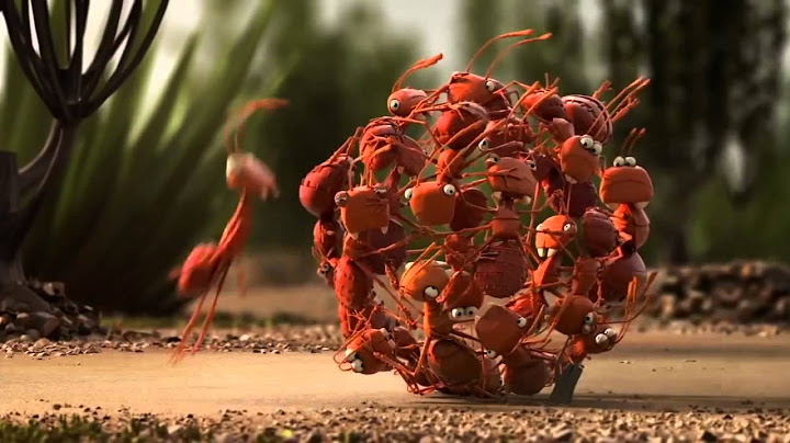 The Power Of Teamwork - Funny Animation