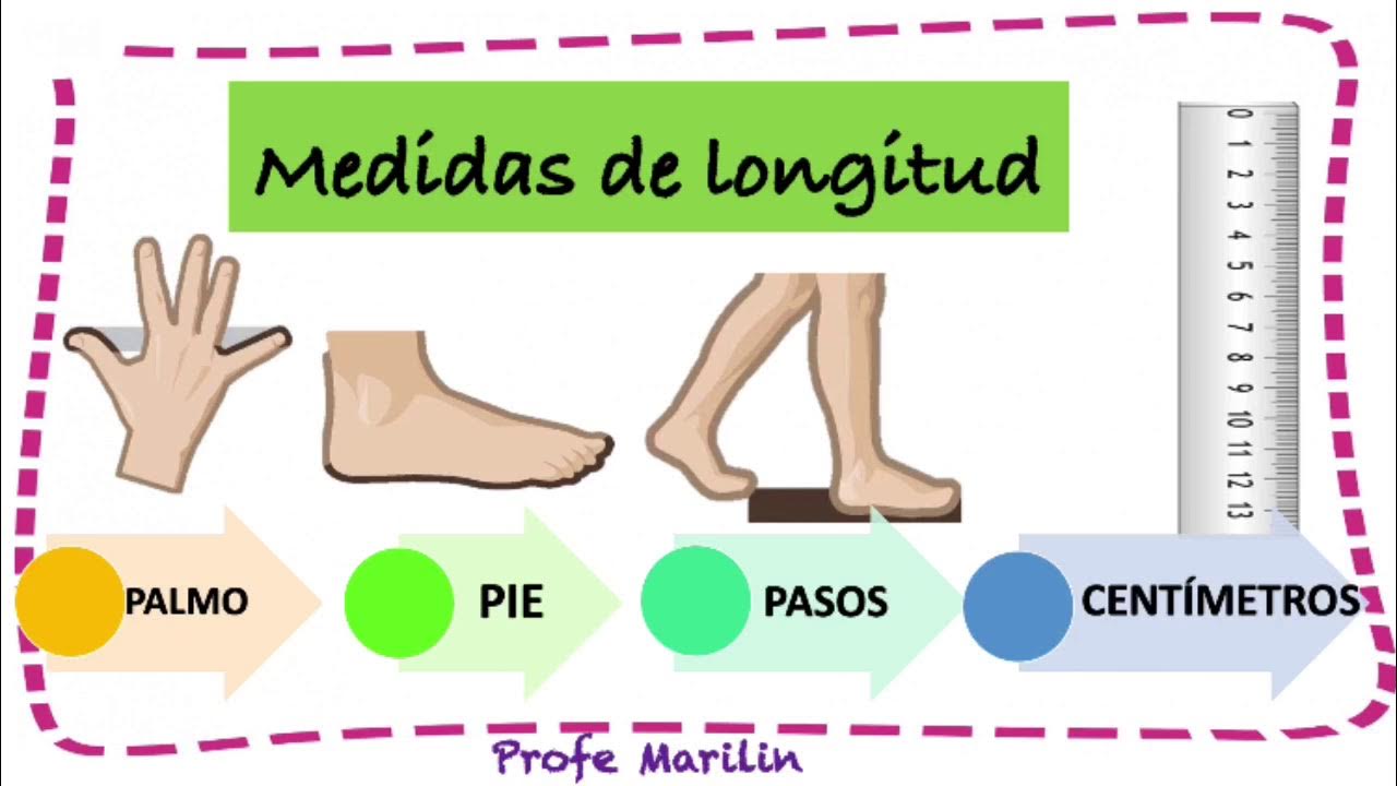 Medidas De Longitud Explicación Sencilla Youtube