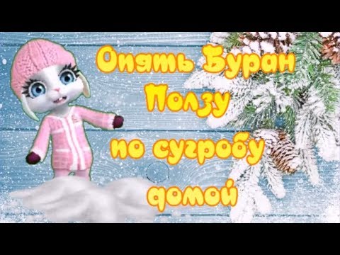 Опять Буран! Ползу по сугробу домой! И в метель на работу ходить зареклась!