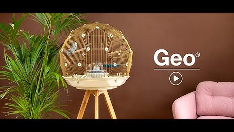 Geo Bird Cage