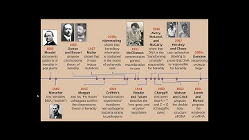 BIOL 101   DNA Structure and Function