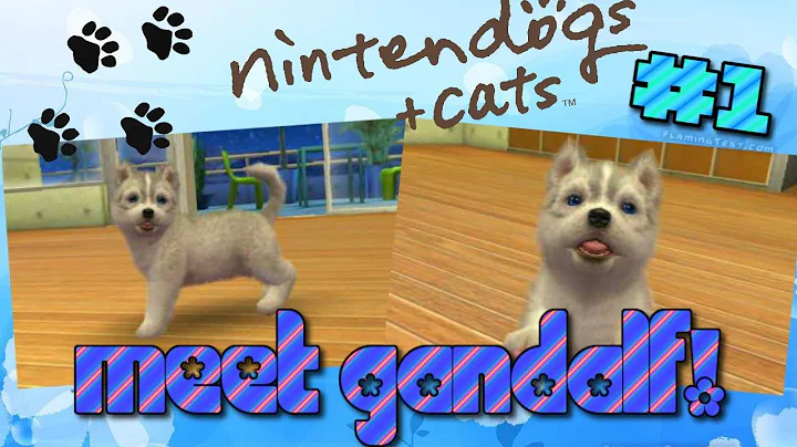 Nintendogs + Cats: Buying my first puppy! (#1)