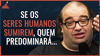 imagem do youtube