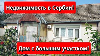 видео: Хороший кирпичный дом в сельской местности с большим земельным участком #недвижимостьвсербии #сербия картинка: Хороший кирпичный дом в сельской местности с большим земельным участком #недвижимостьвсербии #сербия