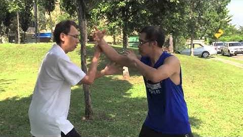 Tai chi secret movement - Dalaijin re-bouncing jin in push hands