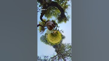 insta 360 camera funny short #mrasadulvlog #insta360 #funny #shorts