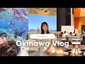 【work&Trip】今年もフリーランス保育士沖縄編