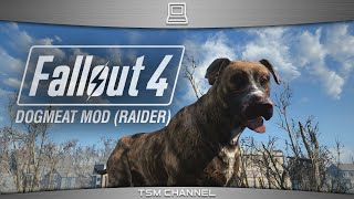 Fallout 4 raider dogmeat mod changes the default textures of your
furry companion. download :
http://www.nexusmods.com/fallout4/mods/383/? for more f...