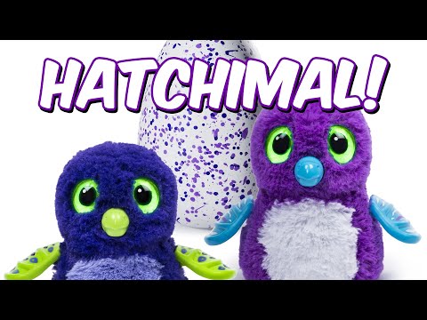 OPENING a HATCHIMAL!! 🎁🥚🐣