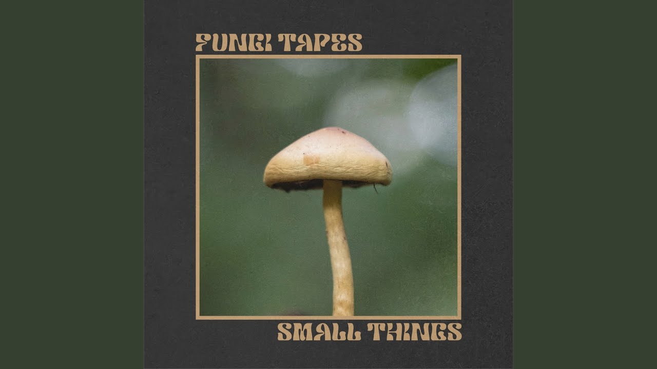 Assista a Small Things no YouTube Assista a Small Things no YouTube