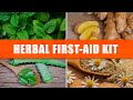 5 Plants to Have for Your Herbal First Aid Kit