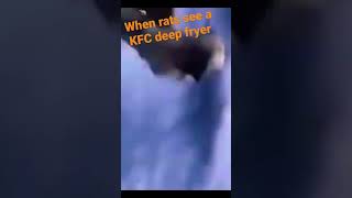 When rats see a KFC deep fryer 🐀