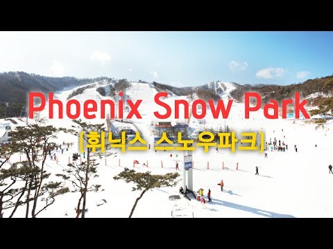 [Review] Phoenix Snow Park Ski Resort in Pyeongchang, South Korea (휘닉스 스노우파크)