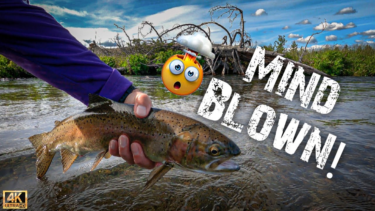 FIRST Time Fly Fishing This Central Oregon Creek! My Mind Was Blown! 4K