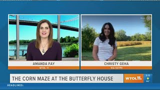 Wheeler Farms is ready for fall with its corn maze at The Butterfly House