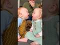 喧嘩する赤ちゃん達👶犬はどうしていいか分からず固まってしまう。。。#dog #baby #cute #funny #shorts #shortvideo #赤ちゃん