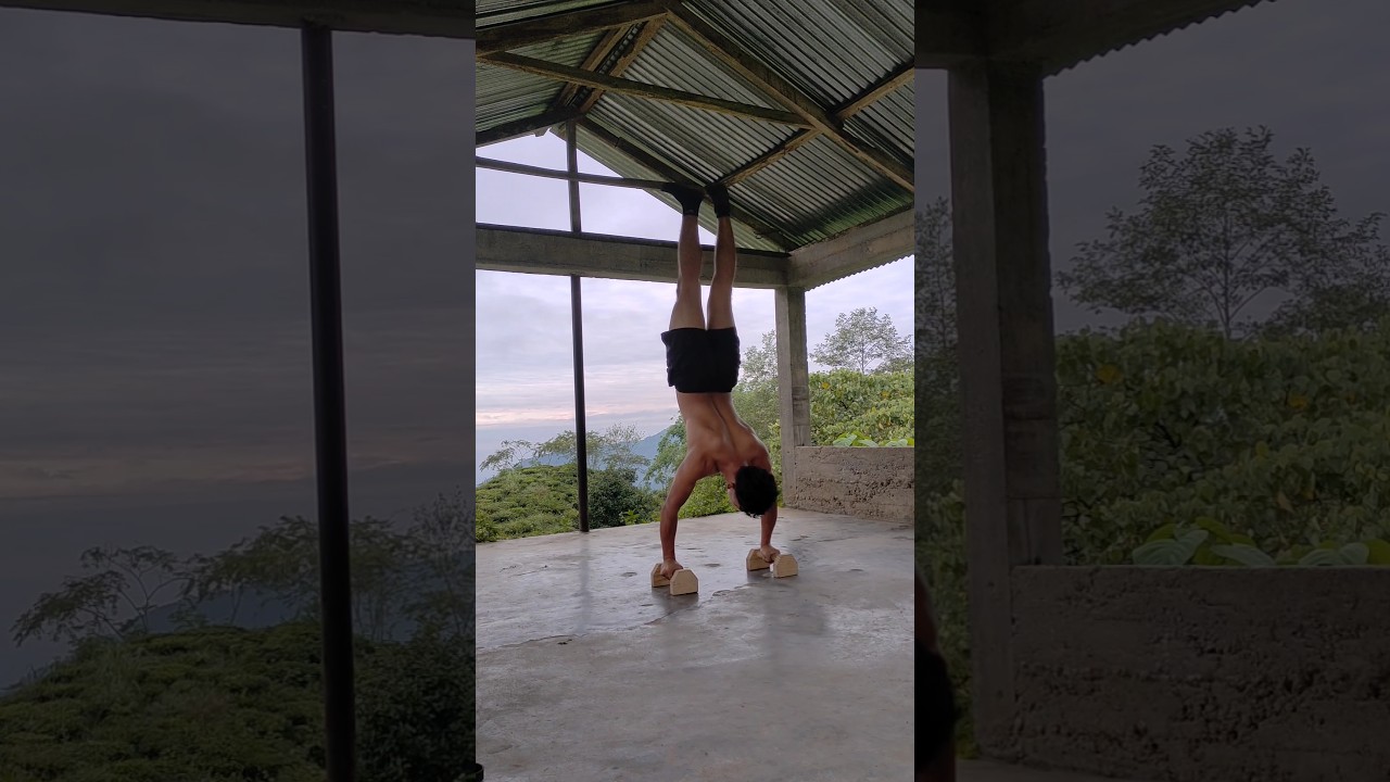 DAY 18 II PRACTICING 90° HANDSTAND  Push-ups  🤸|| 