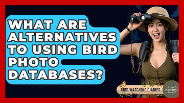 What Are Alternatives To Using Bird Photo Databases? - Bird Watching Diaries