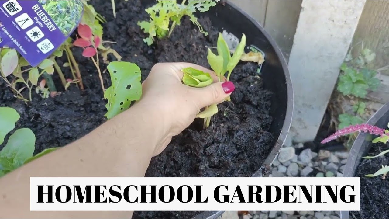 Why Our Homeschool Garden is the Best Decision We've Made