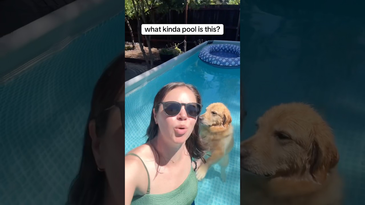 deets on our dog-friendly pool setup! (none of this is sponsored!) #PoolTime #DogPool adlı videoyu YouTube'da izle deets on our dog-friendly pool setup! (none of this is sponsored!) #PoolTime #DogPool adlı videoyu YouTube'da izle