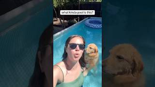 deets on our dog-friendly pool setup! (none of this is sponsored!)  #PoolTime #DogPool