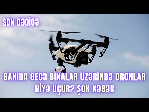 Video: Böcəklər niyə sizə uçur?