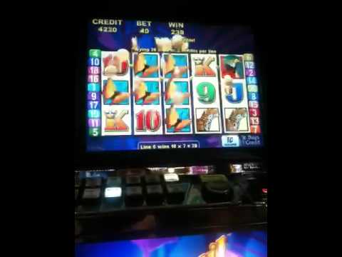 Slots de bonus gratuitos Stunning 27 Slots de bonus gratuitos Stunning 27