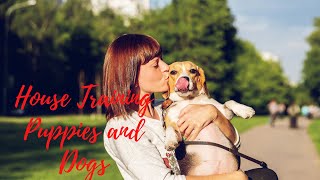 House Training Puppies and Dogs by Giggling Paws and Pets 2 views 3 years ago 3 minutes, 4 seconds