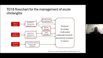 G-ECHO Medical Fellows :  Acute cholangitis, cholecystitis