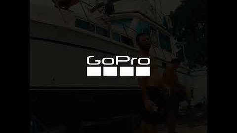 Paint Story 12/30/19