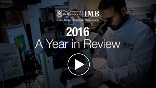 2016: A Year in Review
