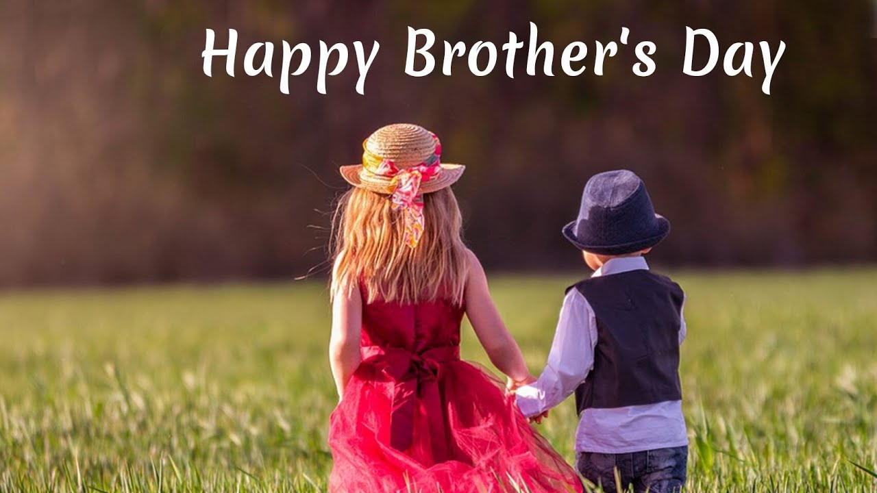 Happy Brothers Day status||24 may Brothers day WhatsApp status ...