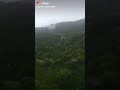 والصبح محلاه يطلع من خلال المطر