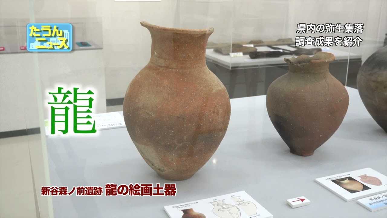 4K】たうんニュース6月「伊予の弥生集落〜最新の研究成果からその実相 