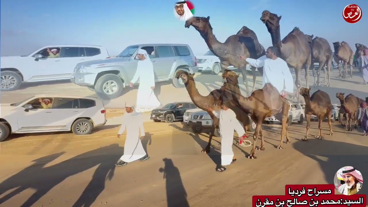 مسراح فرديات السيد : محمد بن مقرن العامري